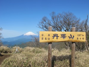 丹沢山からの富士
