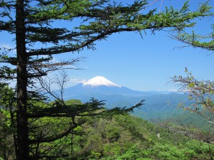 鍋割山稜からの富士